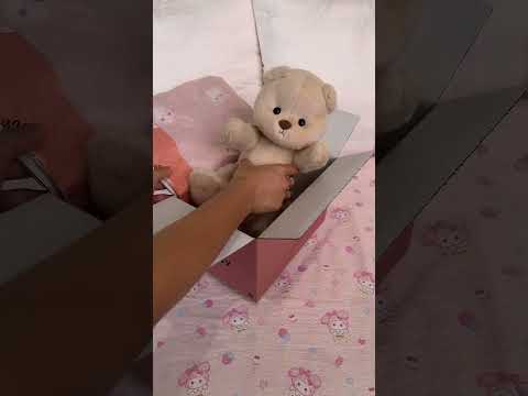 Teddy Bear & Charming Pink Bunny Set - 12 Inches