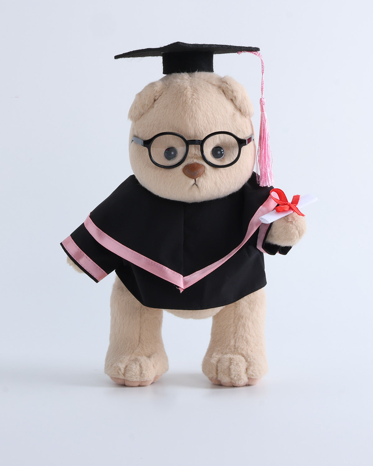 Teddy Bear & Pink Hood Graduation Gown Set of 4 - 12 Inches