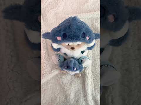 Teddy Bear & Blue Shark Set - 12 Inches
