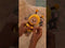 Teddy Bear & Honey Bee Set of 2 - 6 Inches