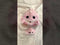 Teddy Bear & Pink Dinosaur Jumpsuit - 12 Inches