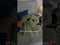 Teddy Bear & Green Dinosaur Jumpsuit - 12 Inches